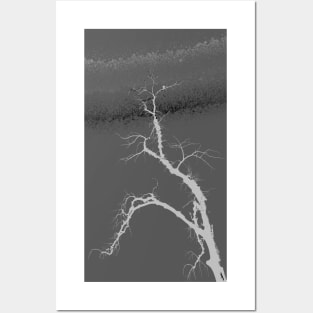 Tree Against Grey Sky at Night Posters and Art